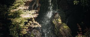 Preview wallpaper stream, stones, leaves, nature