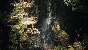 Preview wallpaper stream, stones, leaves, nature