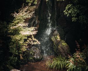 Preview wallpaper stream, stones, leaves, nature