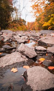 Preview wallpaper stream, stones, leaves, water, autumn, nature