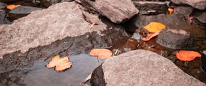 Preview wallpaper stream, stones, leaves, water, autumn, nature