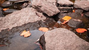 Preview wallpaper stream, stones, leaves, water, autumn, nature