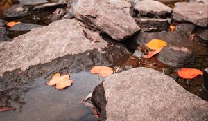 Preview wallpaper stream, stones, leaves, water, autumn, nature