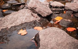 Preview wallpaper stream, stones, leaves, water, autumn, nature