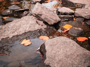 Preview wallpaper stream, stones, leaves, water, autumn, nature