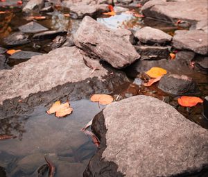 Preview wallpaper stream, stones, leaves, water, autumn, nature