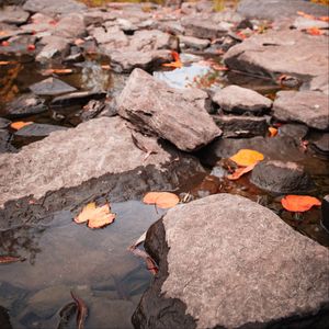 Preview wallpaper stream, stones, leaves, water, autumn, nature