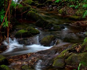 Preview wallpaper stream, stones, moss, plants, landscape, nature