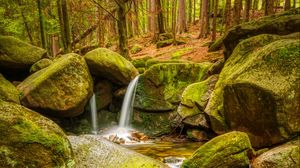 Preview wallpaper stream, stones, moss, forest, nature