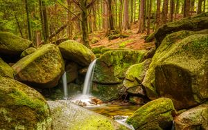 Preview wallpaper stream, stones, moss, forest, nature