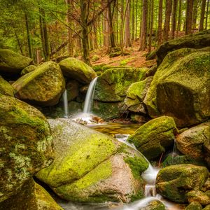 Preview wallpaper stream, stones, moss, forest, nature