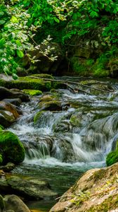 Preview wallpaper stream, stones, moss, leaves, green, nature