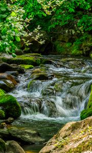 Preview wallpaper stream, stones, moss, leaves, green, nature