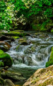 Preview wallpaper stream, stones, moss, leaves, green, nature
