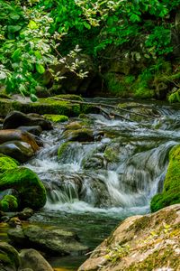 Preview wallpaper stream, stones, moss, leaves, green, nature