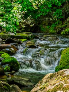 Preview wallpaper stream, stones, moss, leaves, green, nature