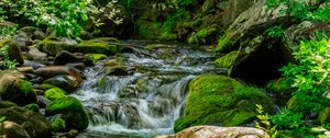 Preview wallpaper stream, stones, moss, leaves, green, nature