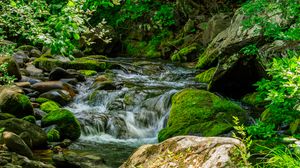 Preview wallpaper stream, stones, moss, leaves, green, nature