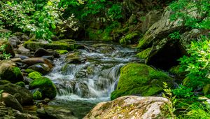 Preview wallpaper stream, stones, moss, leaves, green, nature