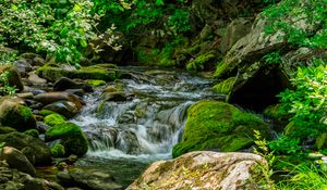 Preview wallpaper stream, stones, moss, leaves, green, nature