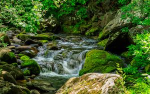 Preview wallpaper stream, stones, moss, leaves, green, nature