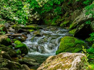 Preview wallpaper stream, stones, moss, leaves, green, nature