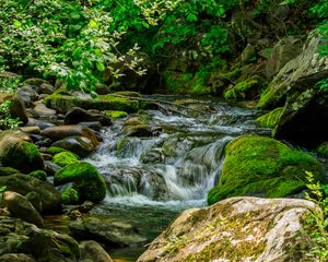 Preview wallpaper stream, stones, moss, leaves, green, nature