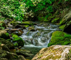 Preview wallpaper stream, stones, moss, leaves, green, nature