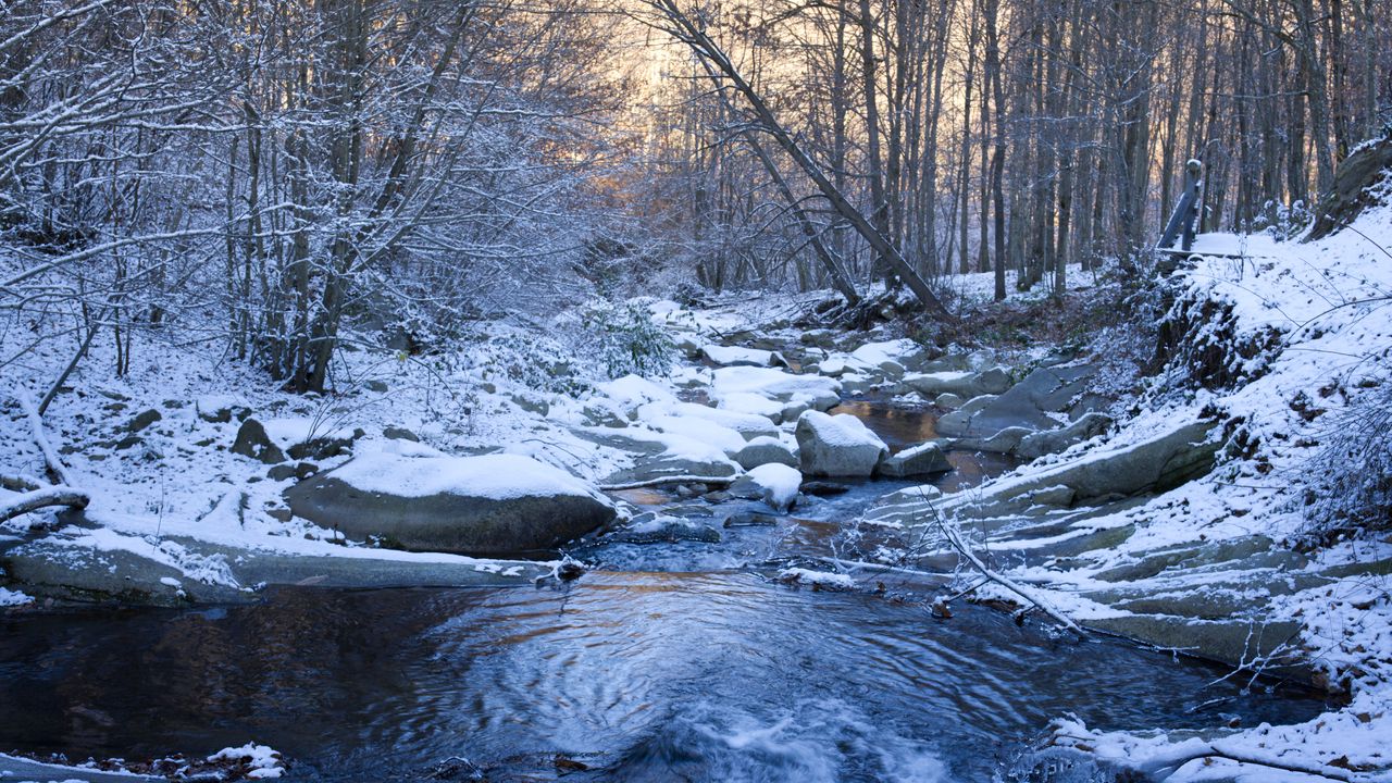 Wallpaper stream, stones, snow, trees, winter