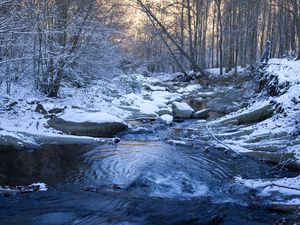 Preview wallpaper stream, stones, snow, trees, winter