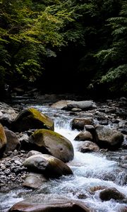 Preview wallpaper stream, stones, trees, branches