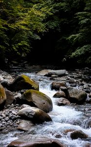 Preview wallpaper stream, stones, trees, branches