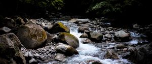 Preview wallpaper stream, stones, trees, branches