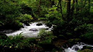 Preview wallpaper stream, stones, trees, landscape, nature