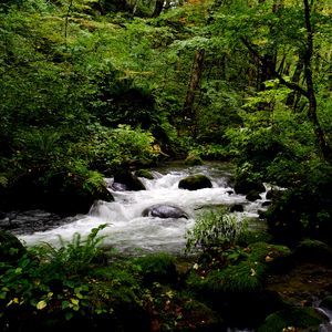 Preview wallpaper stream, stones, trees, landscape, nature