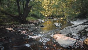 Preview wallpaper stream, stones, trees, nature