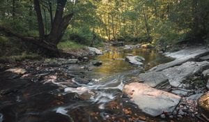 Preview wallpaper stream, stones, trees, nature