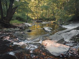 Preview wallpaper stream, stones, trees, nature