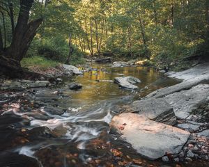 Preview wallpaper stream, stones, trees, nature