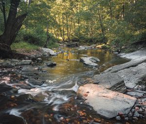 Preview wallpaper stream, stones, trees, nature