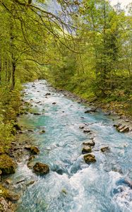 Preview wallpaper stream, stones, trees, branches, landscape