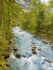 Preview wallpaper stream, stones, trees, branches, landscape