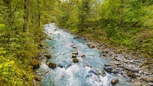 Preview wallpaper stream, stones, trees, branches, landscape
