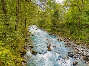 Preview wallpaper stream, stones, trees, branches, landscape