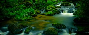 Preview wallpaper stream, stones, trees, moss, long exposure