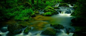 Preview wallpaper stream, stones, trees, moss, long exposure