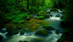 Preview wallpaper stream, stones, trees, moss, long exposure