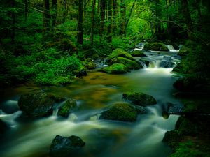 Preview wallpaper stream, stones, trees, moss, long exposure