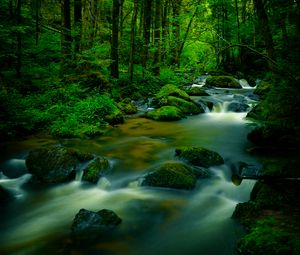 Preview wallpaper stream, stones, trees, moss, long exposure