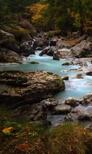 Preview wallpaper stream, stones, trees, grass, nature